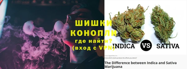 ПСИЛОЦИБИНОВЫЕ ГРИБЫ Медногорск