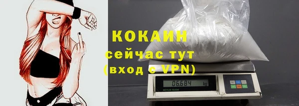 сатива Медвежьегорск