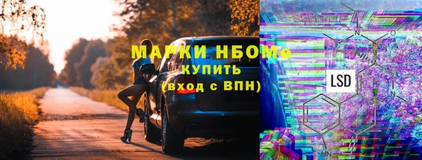 гашик Мегион