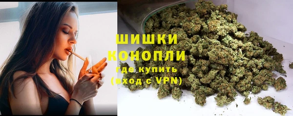 гашик Мегион