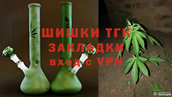 гашик Мегион