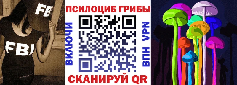 Псилоцибиновые грибы Magic Shrooms  где купить наркоту  Черноголовка 